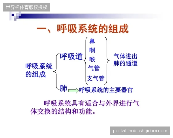大型赛场部署生物识别技术的边界模糊，为何部分安保方案在招标中遭遇合规性回撤？